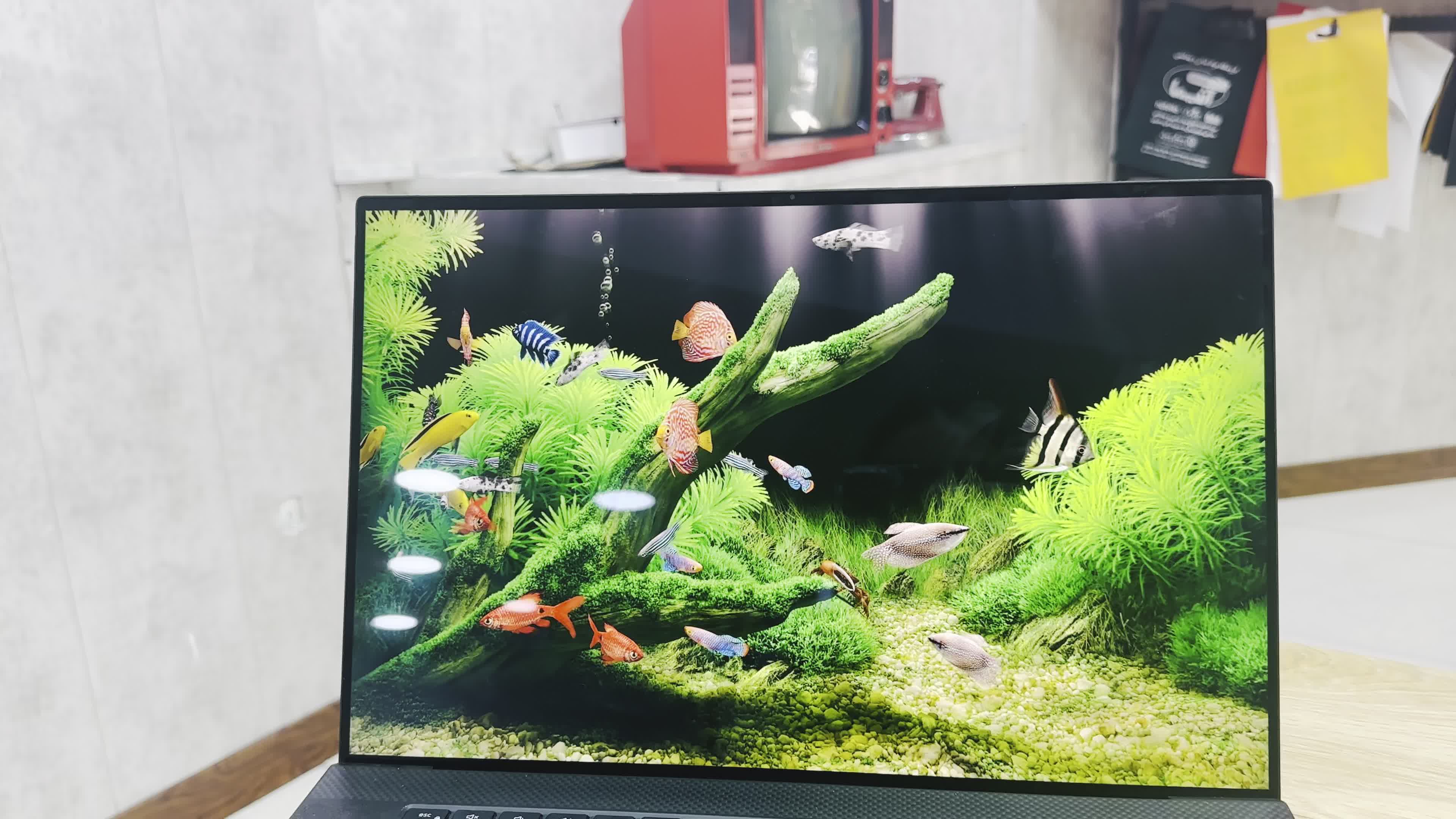 Dell Precision 5750|رایانه همراه|شیراز, کوشک میدان|دیوار