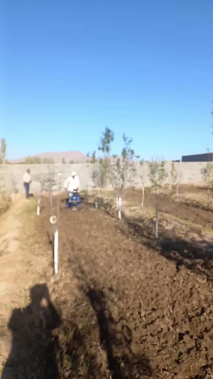 شخم با تیلر کشاورزی دوازده اسب پرقدرت|خدمات باغبانی و درختکاری|مرند, |دیوار