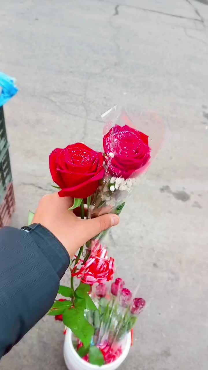 گل طبیعی|گل و گیاه طبیعی|نسیم‌شهر, |دیوار