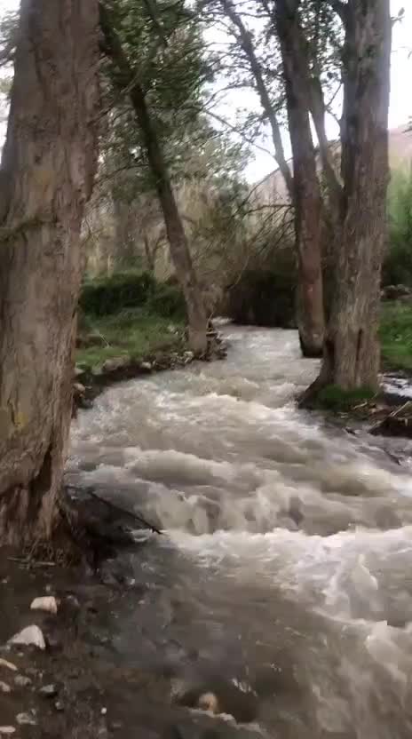 باغ|فروش زمین و ملک کلنگی|طارم (زنجان), |دیوار