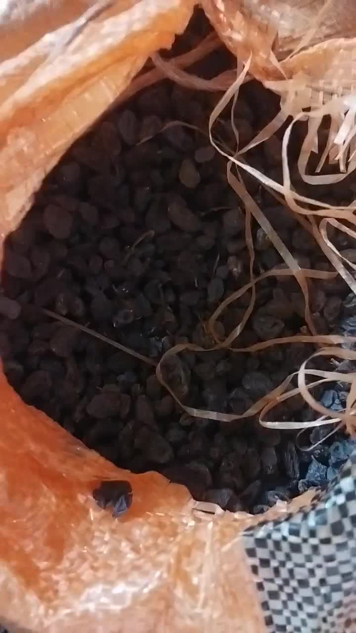 کشمش آفتابی عالی|خوردنی و آشامیدنی|تاکستان, |دیوار