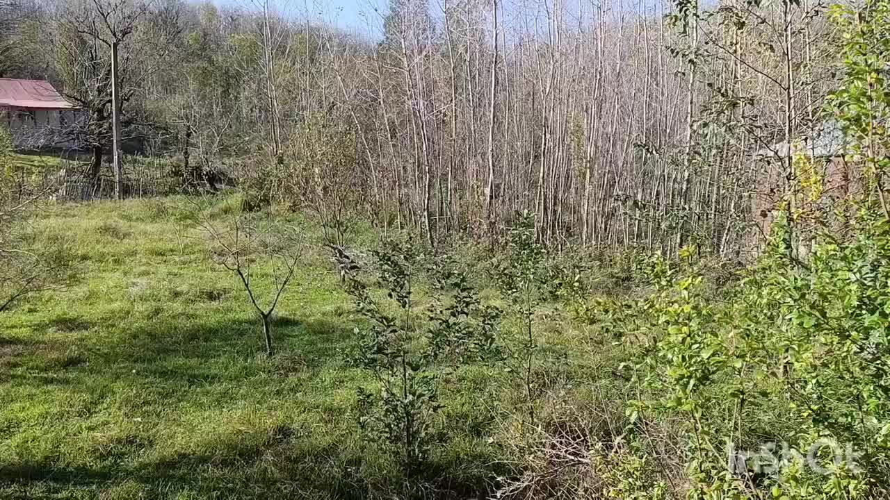 ویلا در شمال کشوراقامتگاه بومگردی شمشاد|اجارهٔ کوتاه‌مدت ویلا و باغ|توتکابن, |دیوار