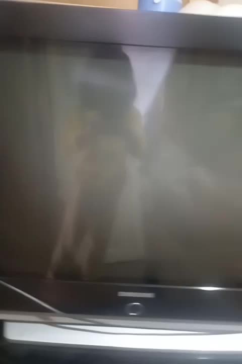 تلویزیون|تلویزیون و پروژکتور|اهر, |دیوار