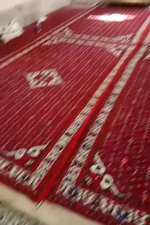 فرش ازندریان در حد نو|فرش|همدان, |دیوار