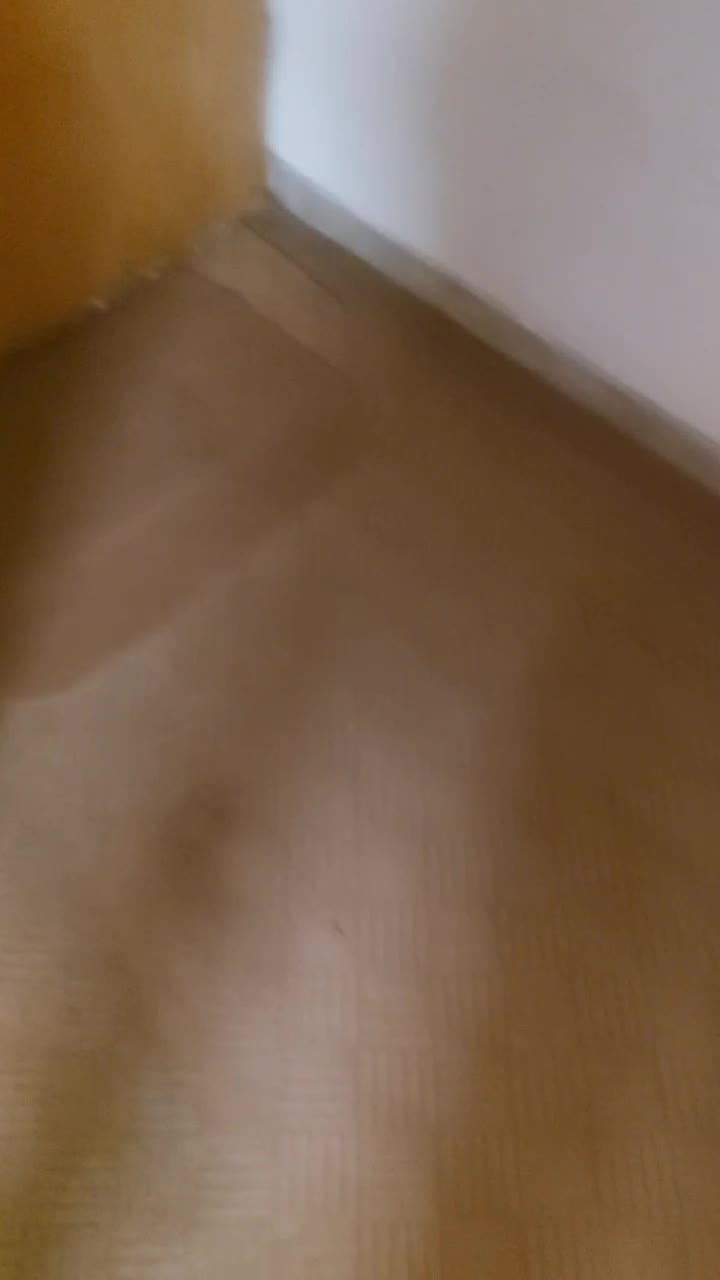 موکت|موکت|اصفهان, برازنده|دیوار