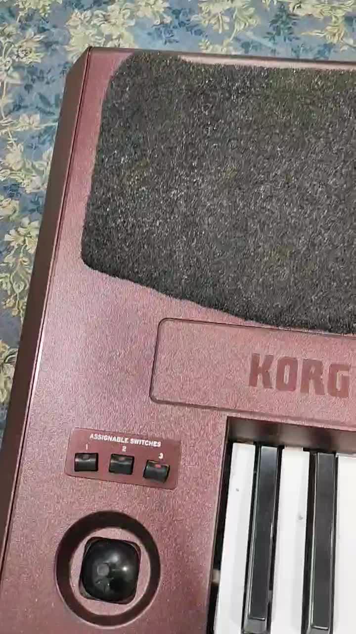 korg کرگ pa1000 ارگ|پیانو، کیبورد، آکاردئون|بندرعباس, |دیوار