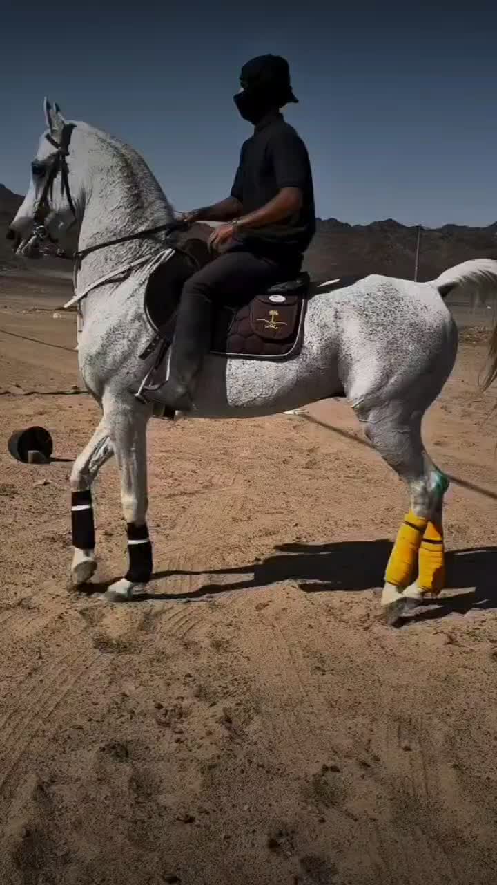 کار گر استبل|استخدام صنعتی، فنی، مهندسی|بهار, |دیوار