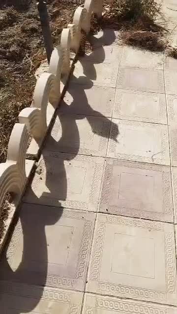 سم پاشی شخم زنی علف زنی وچاله کنی وچاله ستون فنس|خدمات باغبانی و درختکاری|مشکین‌دشت, |دیوار