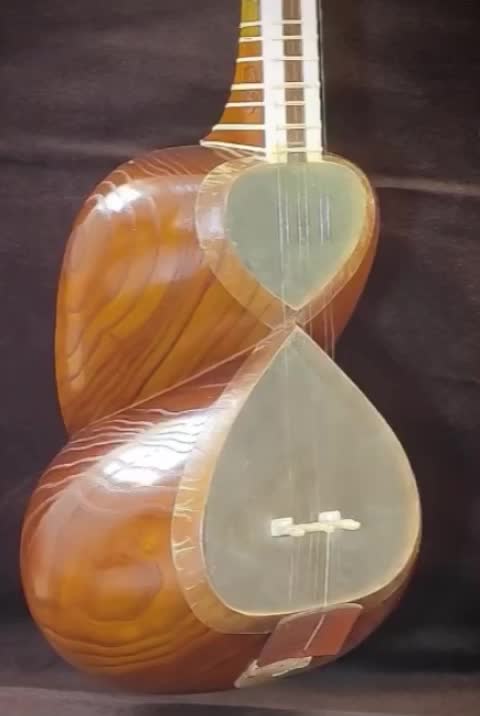 ساز تار ایرانی|سازهای سنتی|جهرم, |دیوار