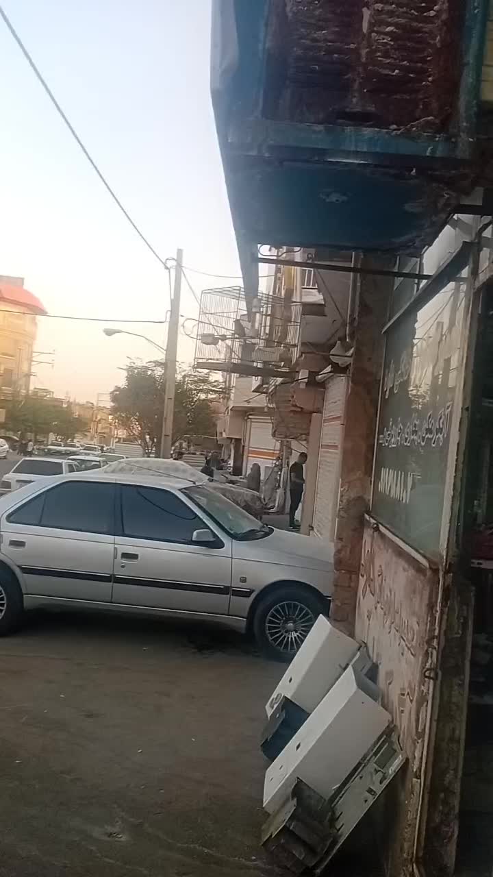 سهره قناری|پرنده|ساوه, |دیوار