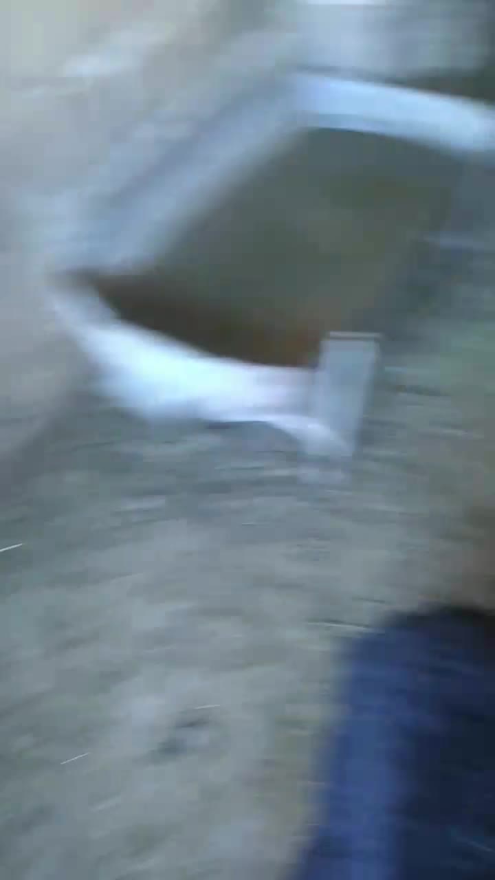 بره افشاری|حیوانات مزرعه|گرگان, |دیوار