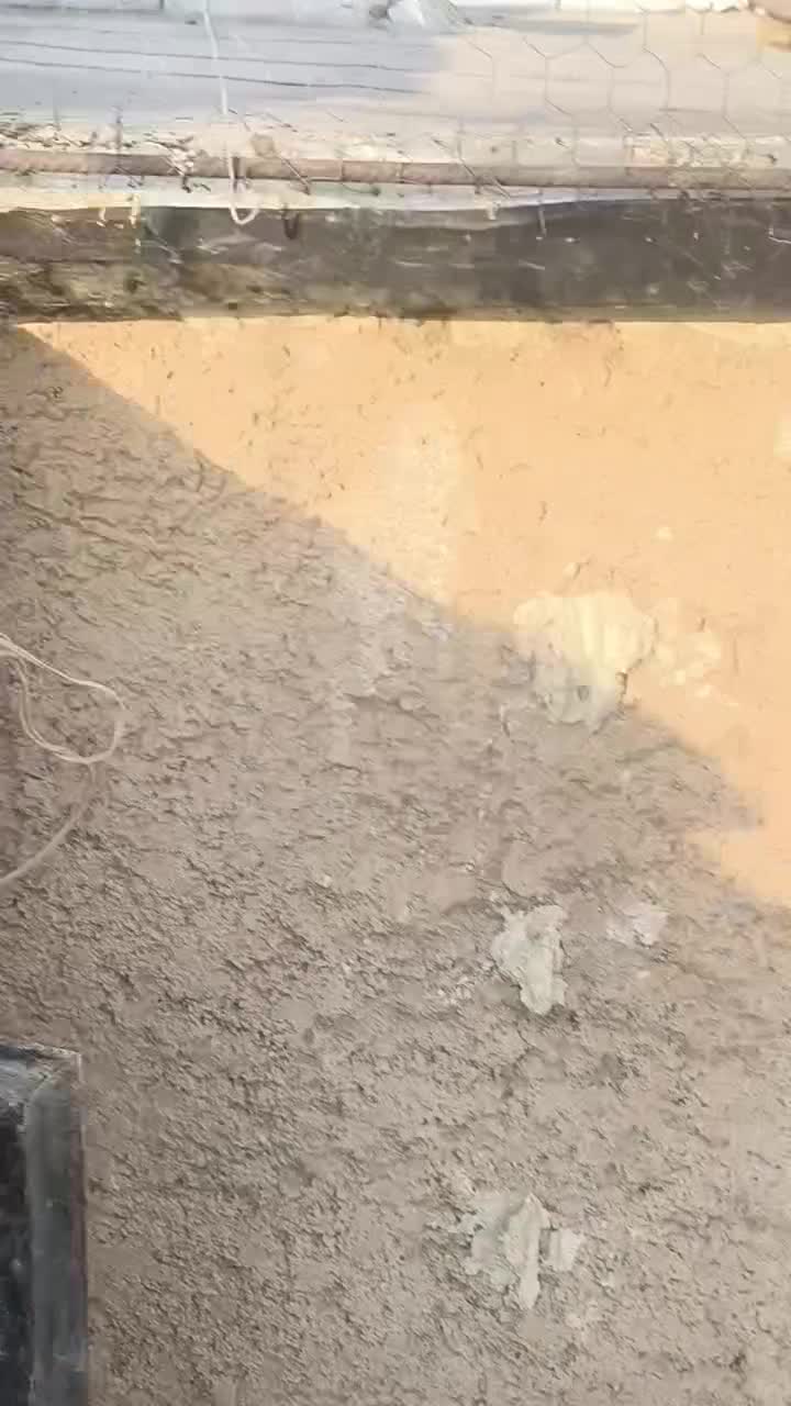 سرک تافته ای|پرنده|مرودشت, شهرک مهدیه|دیوار