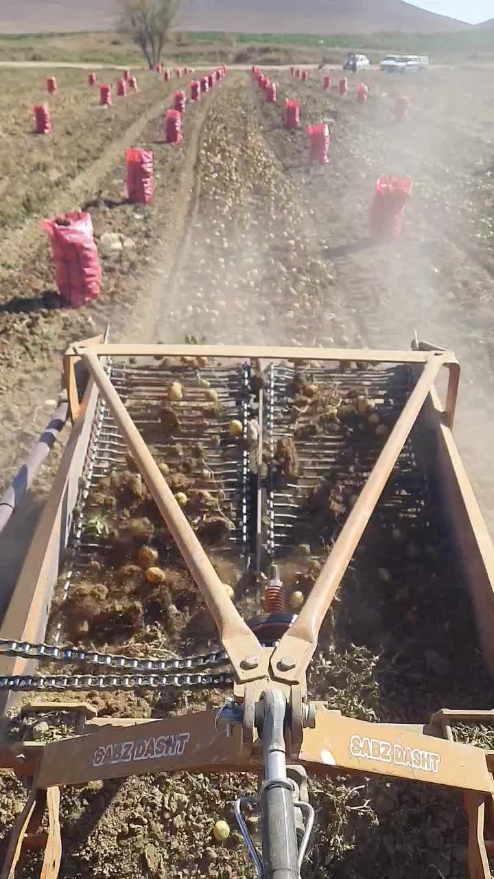 سیب بذری ۴۰۲ کلمبا|خدمات باغبانی و درختکاری|داران, |دیوار