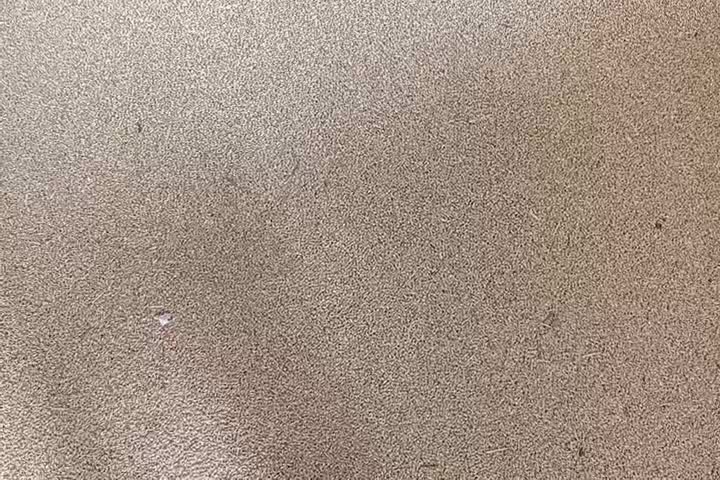 جو محلی|عمدهفروشی|کازرون, |دیوار