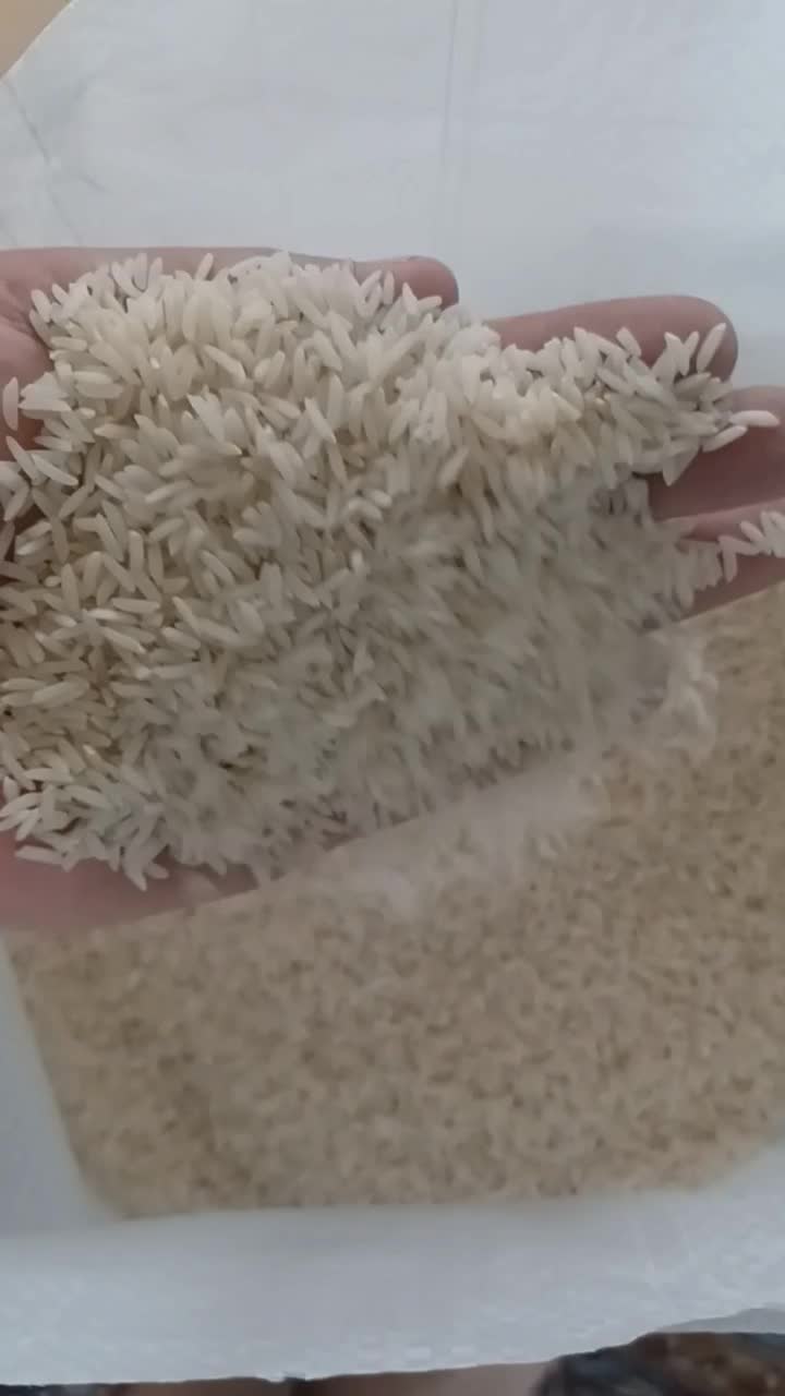 صدری هاشمی درجه یک گیلان|خوردنی و آشامیدنی|محمدیه-قزوین, |دیوار