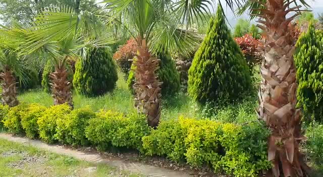 زمین شهرکی در منطقه بی بالان|فروش زمین و ملک کلنگی|واجارگاه, |دیوار