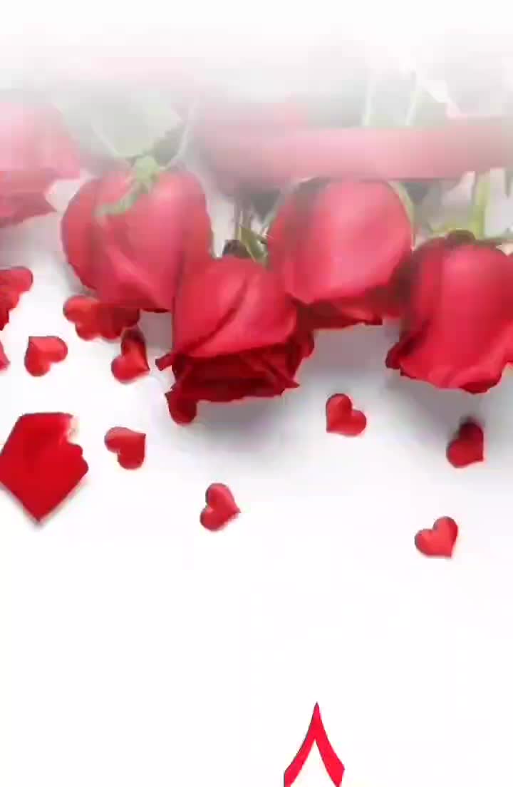 اسپیکر برای فروش|پخشکننده همراه|قائمشهر, |دیوار