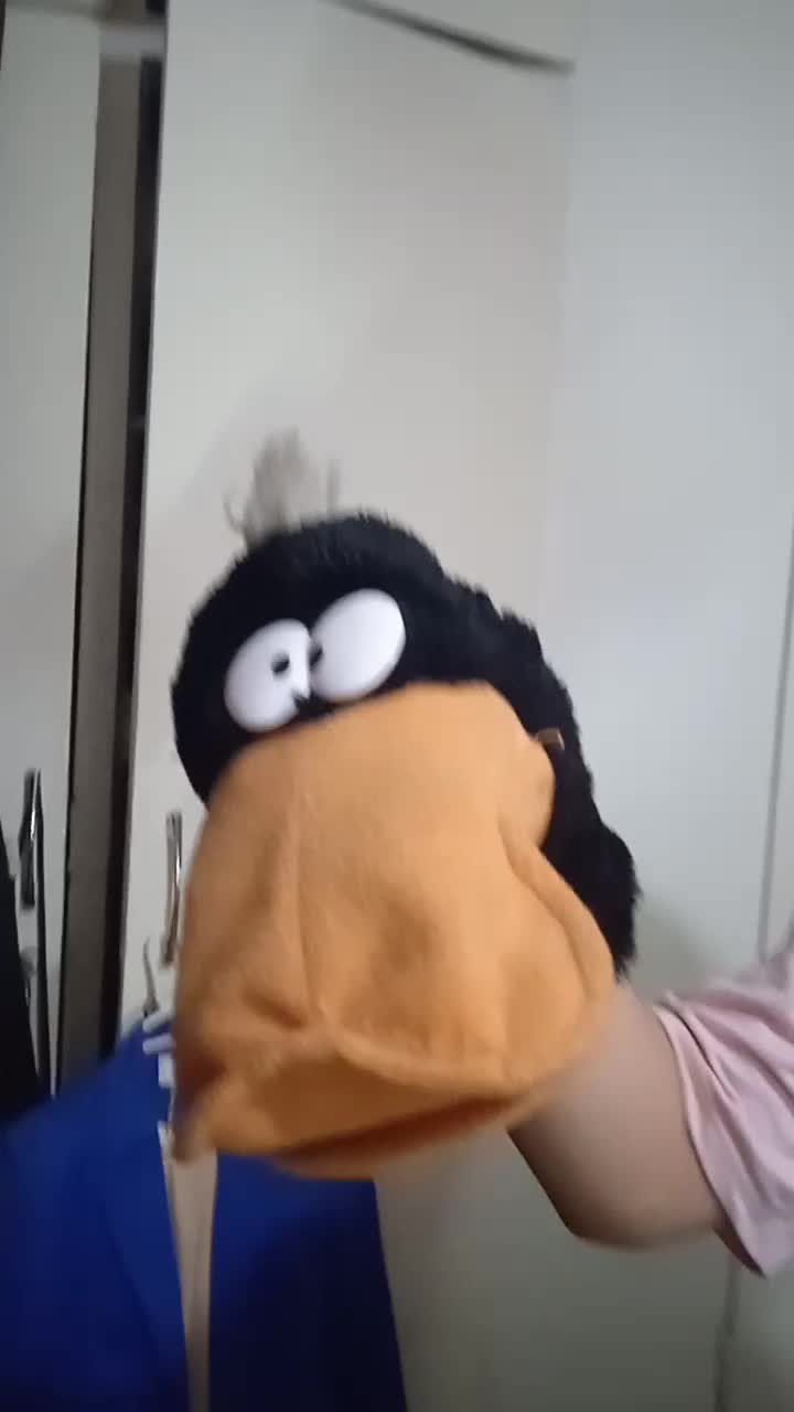 فروش اردک عروسک گردانی|اسباب‌بازی بچه|شیراز, وصال|دیوار