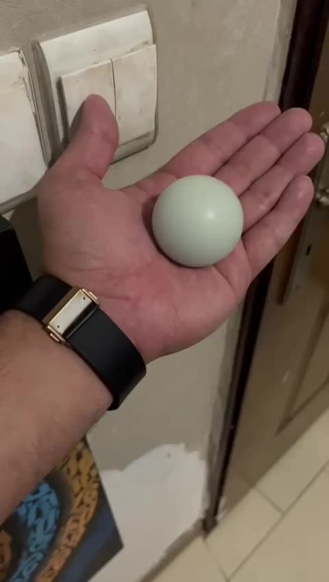 گوهر شب چراغ|عمدهفروشی|مسجد سلیمان, |دیوار