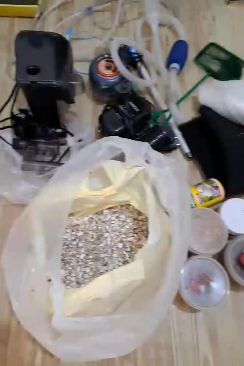 آکواریوم|ماهی|تهران, شهرک امام خمینی|دیوار