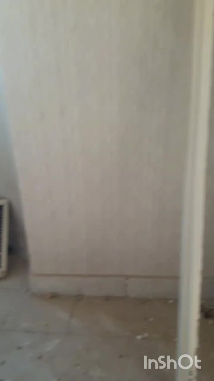 درب و چارچوب چوبی و آهنی|عمدهفروشی|تاکستان, |دیوار