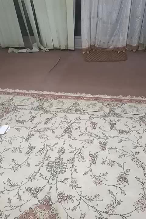 هم خونه|اجارهٔ آپارتمان|اصفهان, پوریای ولی|دیوار