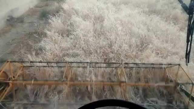 کمباین موتور فرانسوی سوپردار|خودرو سنگین|مرودشت, بیست متری بیمارستان|دیوار