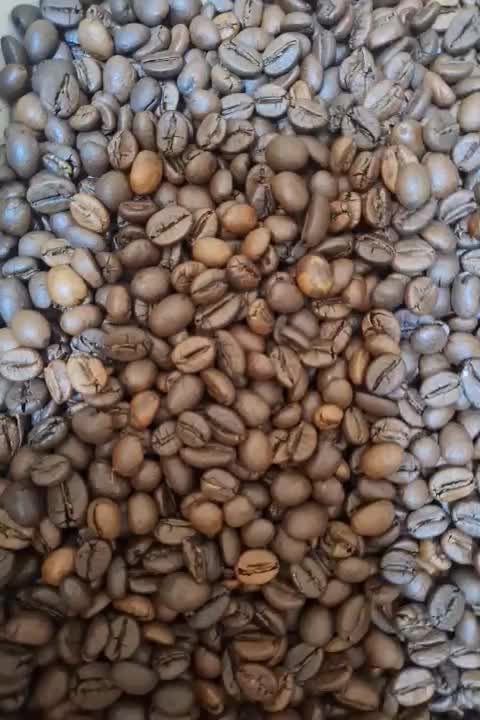 قهوه رست تیره فول طعم فندوقی|عمدهفروشی|فردیس, فردیس|دیوار