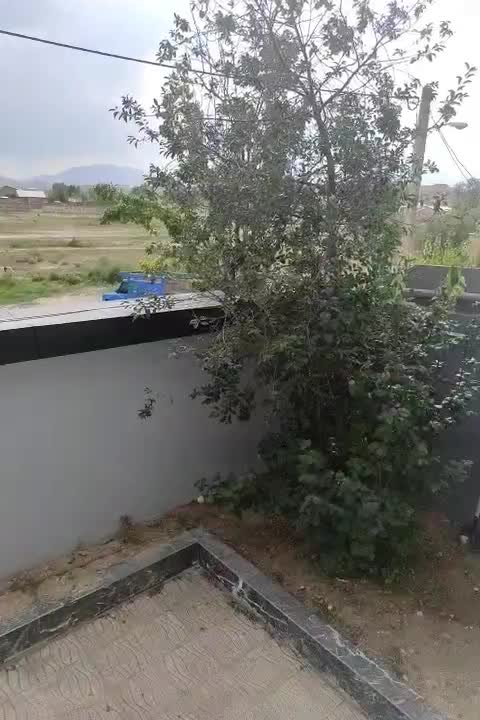 ویلا استخر دار.دوخواب مستر دارای شاه نشین|فروش خانه و ویلا|فیروزکوه, |دیوار