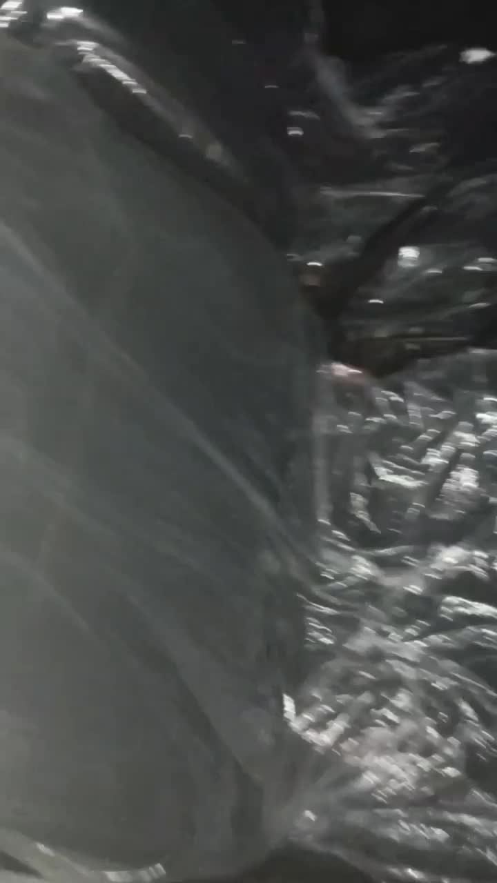 206 مدل ۸۲|خودرو سواری و وانت|گنبد کاووس, |دیوار