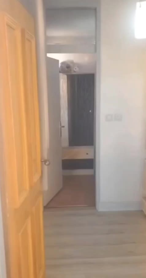 مسکونی تکادو 114 متری|فروش آپارتمان|فولادشهر, A2|دیوار