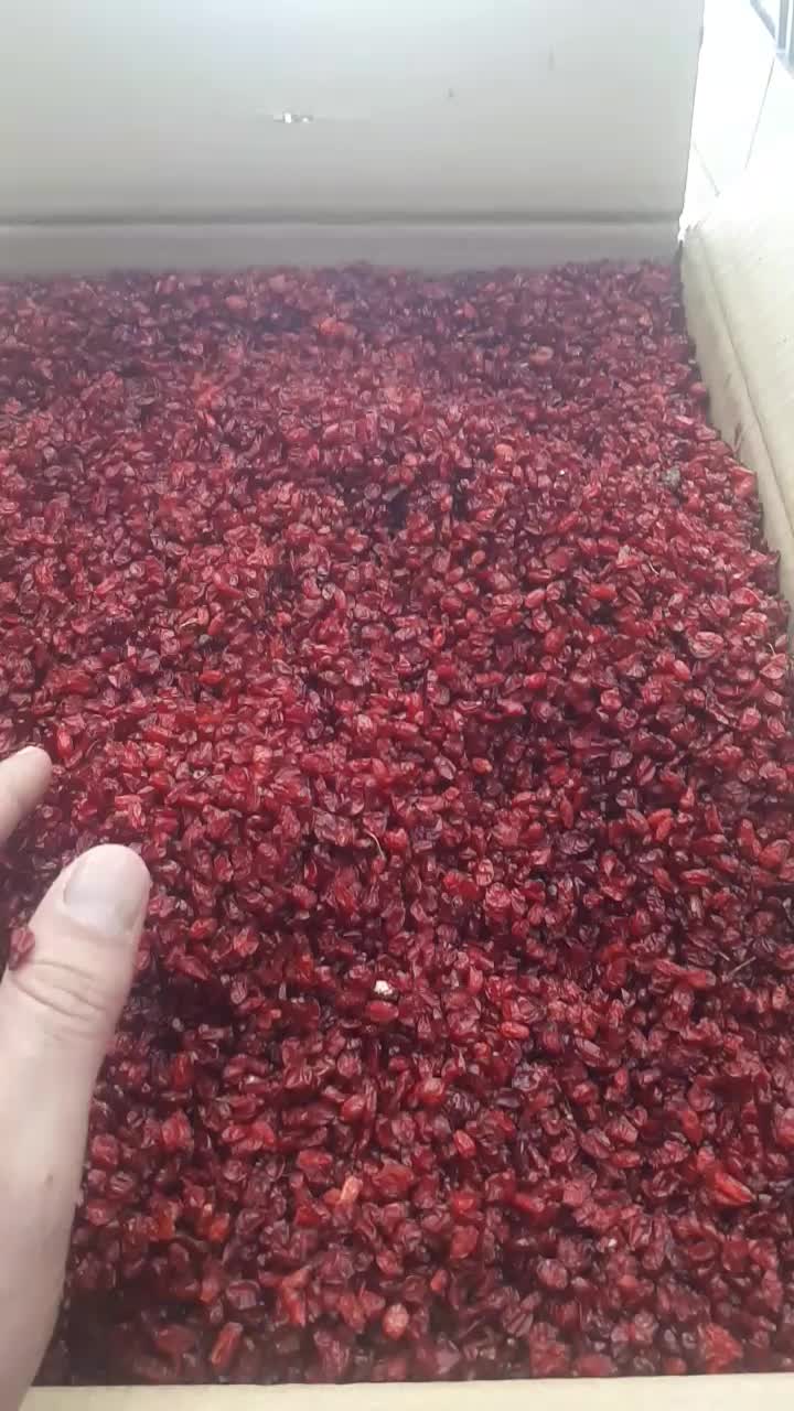 زرشک دونه اناری ۴۰۴|خوردنی و آشامیدنی|قائن, |دیوار