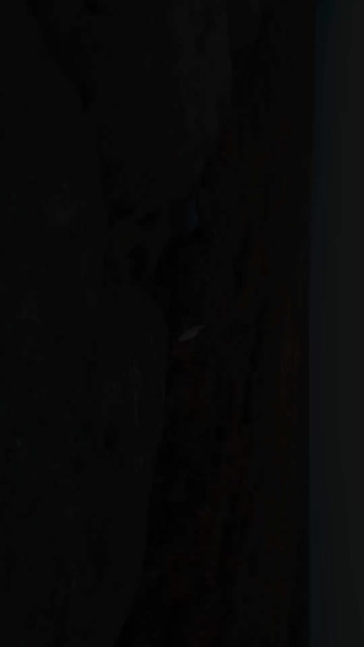 اجاره خودرو کلاسیک شورلت نوا|خودرو اجارهای|سبزوار, امیر کبیر|دیوار