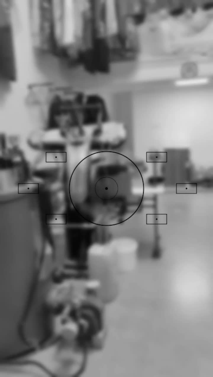 خشکشویی و سفید شویی آریا|خدمات نظافت|گلبهار, شهر جدید گلبهار|دیوار