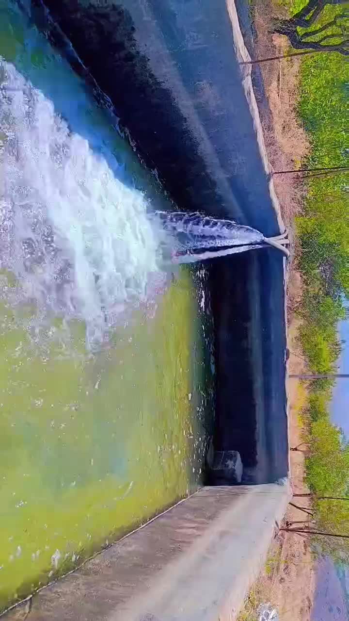 فروش باغ نزدیک پل زمانخان|فروش دفتر صنعتی، کشاورزی، تجاری|زاینده رود, |دیوار