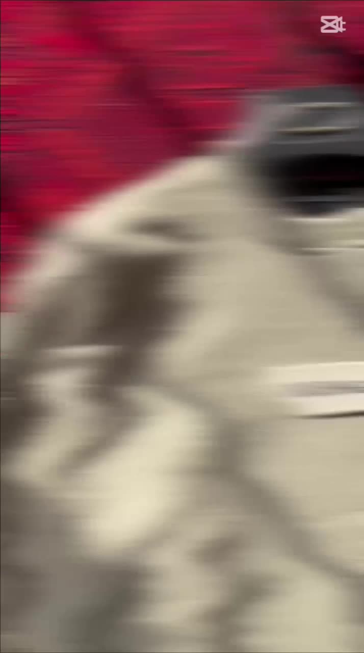 به مناسبت روز مرد تخفیفات ویژه|لباس|نیشابور, فرح بخش|دیوار