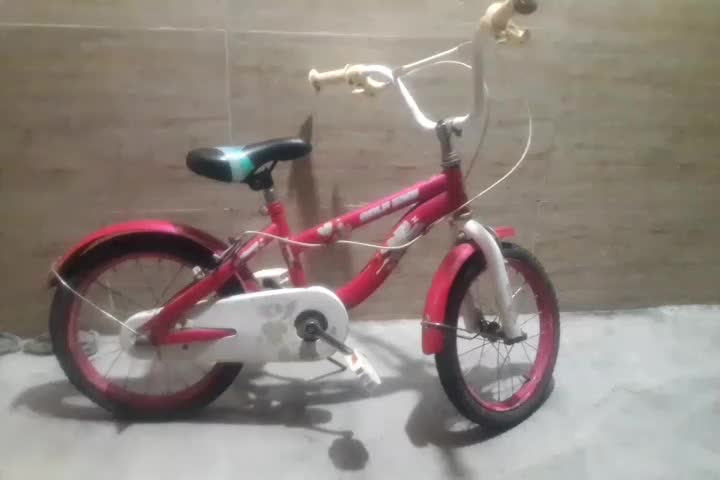 دوچرخه ۱۶|دوچرخه، اسکیت، اسکوتر|دوگنبدان, |دیوار