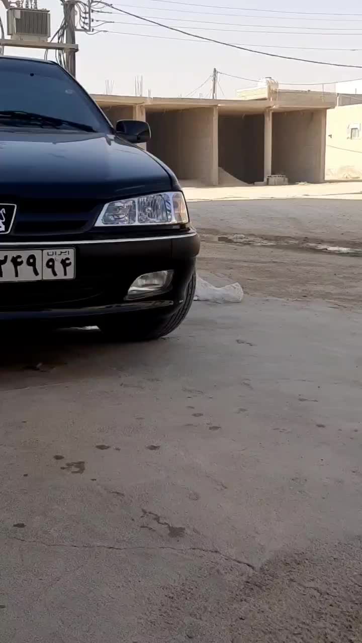 سگ ژرمن کینگ|سگ|بوشهر, |دیوار