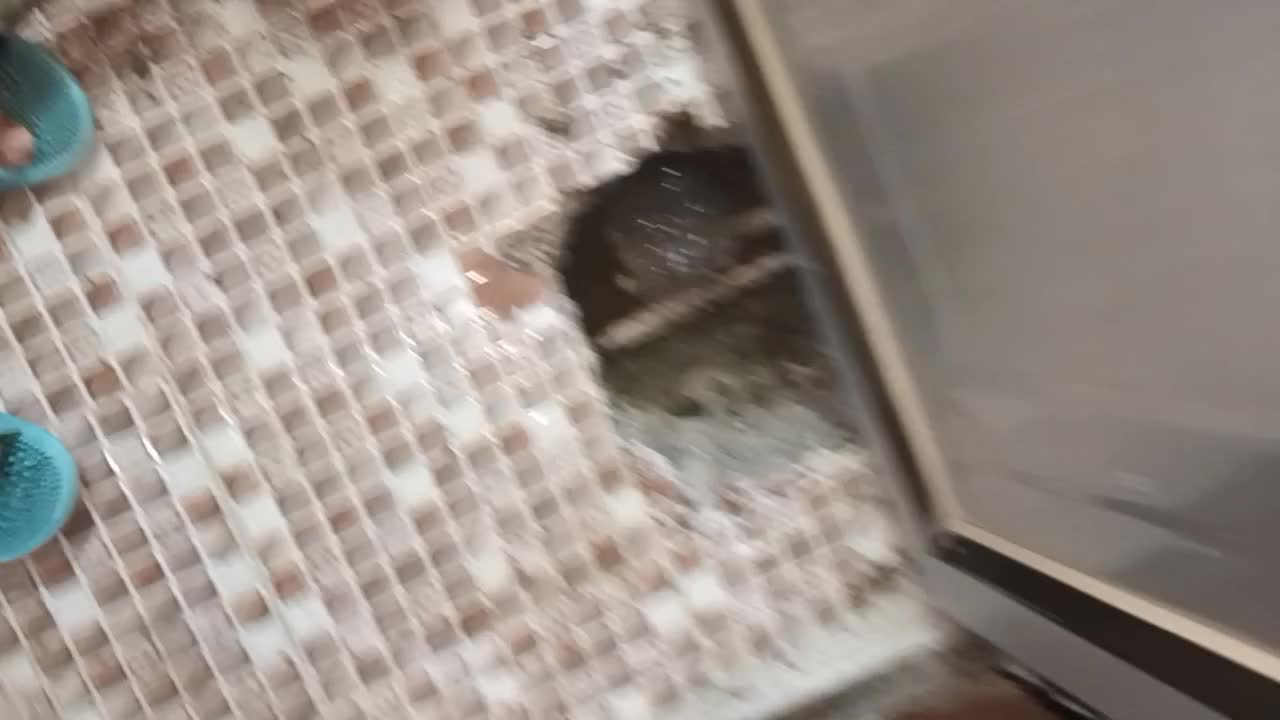 یافتن نشت با کمترین تخریب|خدمات پیشه و مهارت|مینودشت, |دیوار