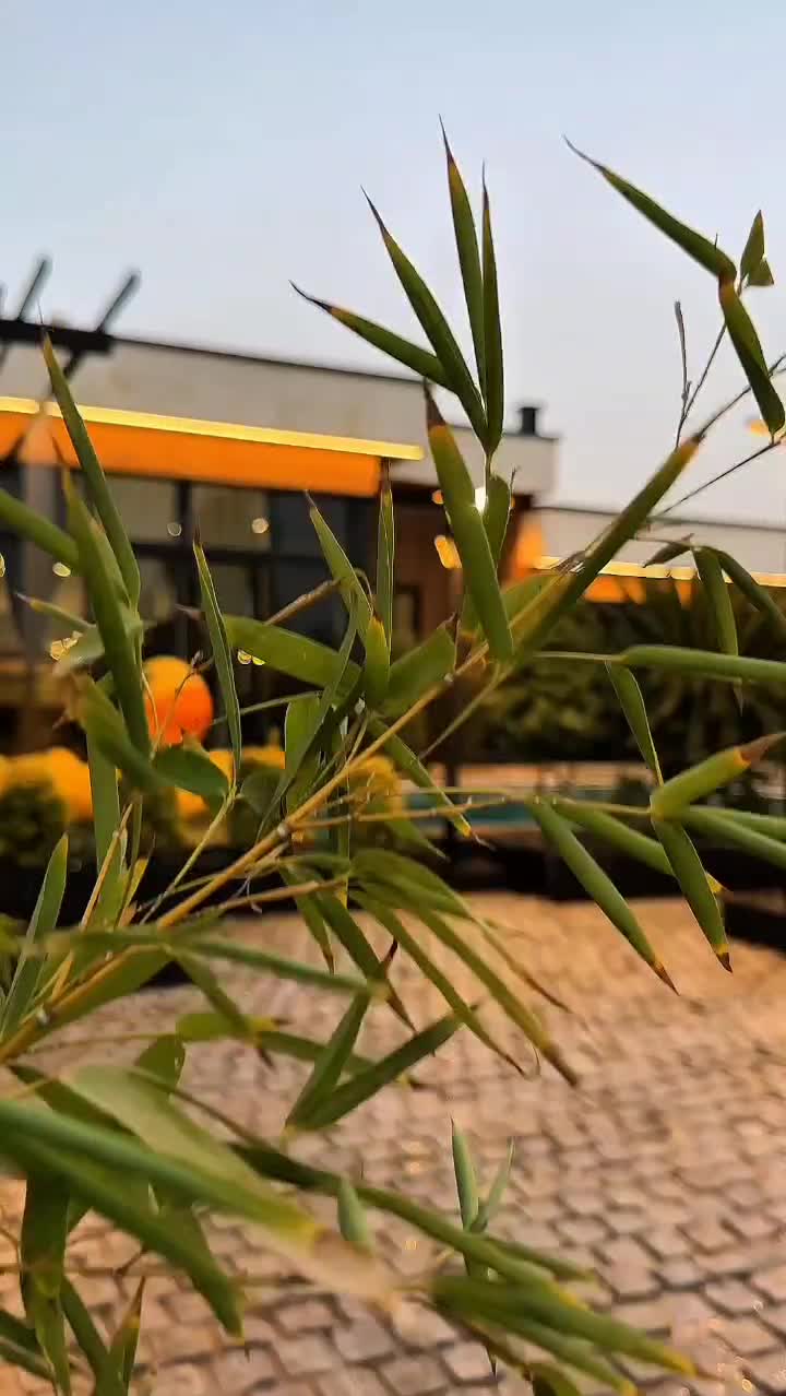 ویلا در تهراندشت ۵۸۰ متری تهران ویلا با برائت جهاد|فروش خانه و ویلا|هشتگرد, تهران دشت|دیوار