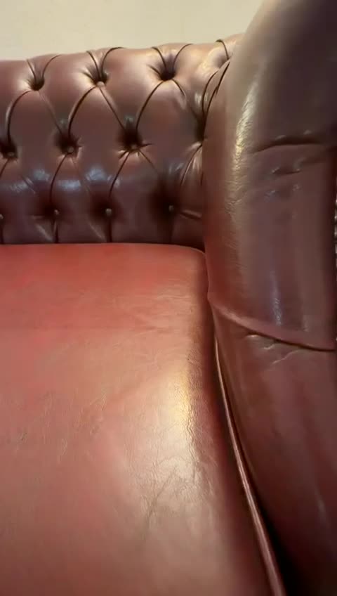 فروش چستر venus و ۲ عدد تک نفره|مبلمان خانگی و میز عسلی|کیش, |دیوار