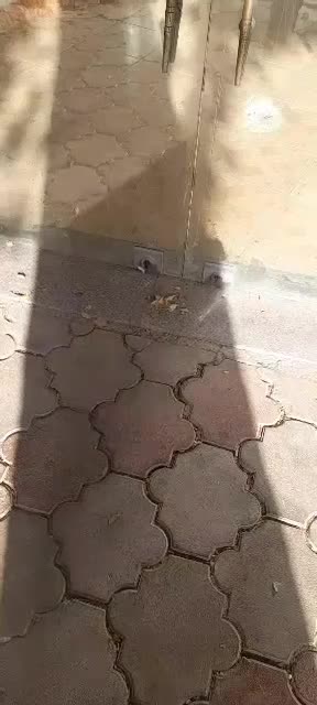 اجاره مغازه|اجارهٔ مغازه و غرفه|آذرشهر, |دیوار