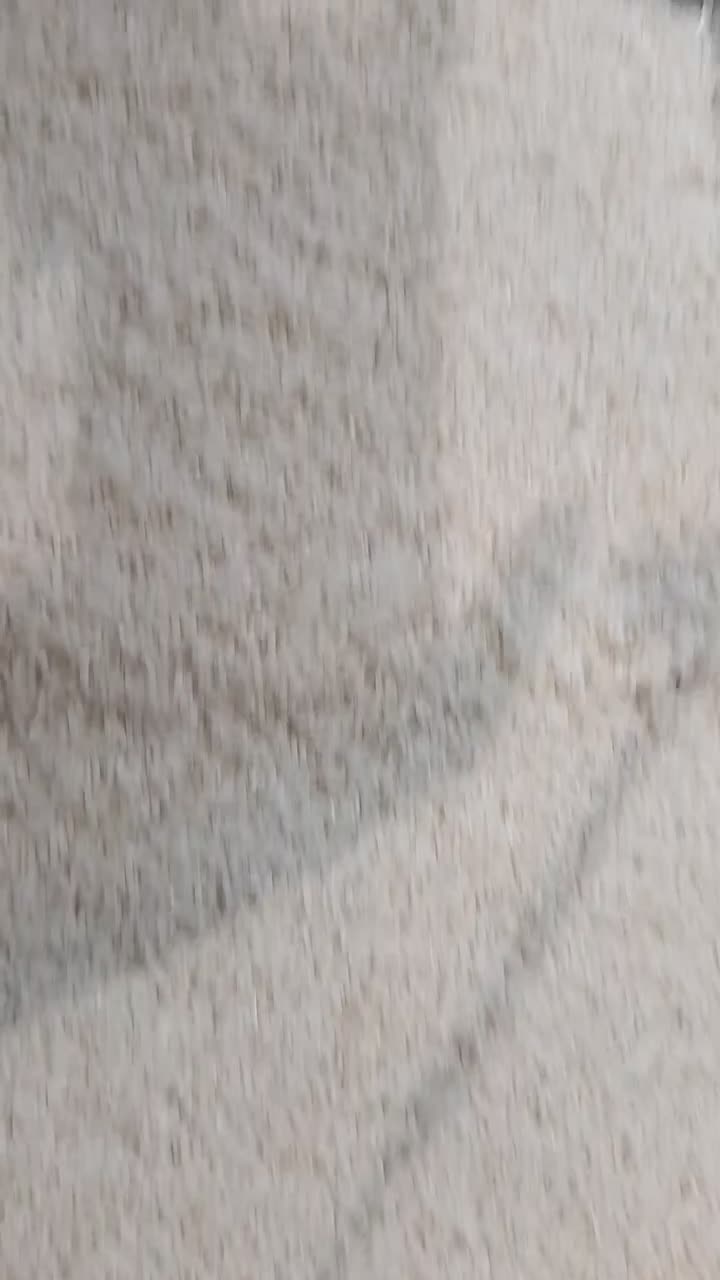 برنج هاشمی گیلان، سرزمین تالش|خوردنی و آشامیدنی|لوندویل, |دیوار