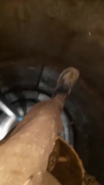 چاه کن حمید|خدمات پیشه و مهارت|کجور, |دیوار