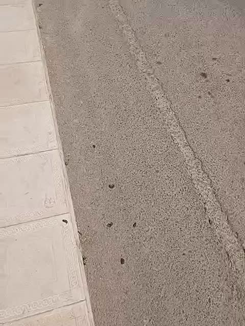 نگهبانی|استخدام سرایداری و نظافت|پردیس, فاز ۱۱|دیوار