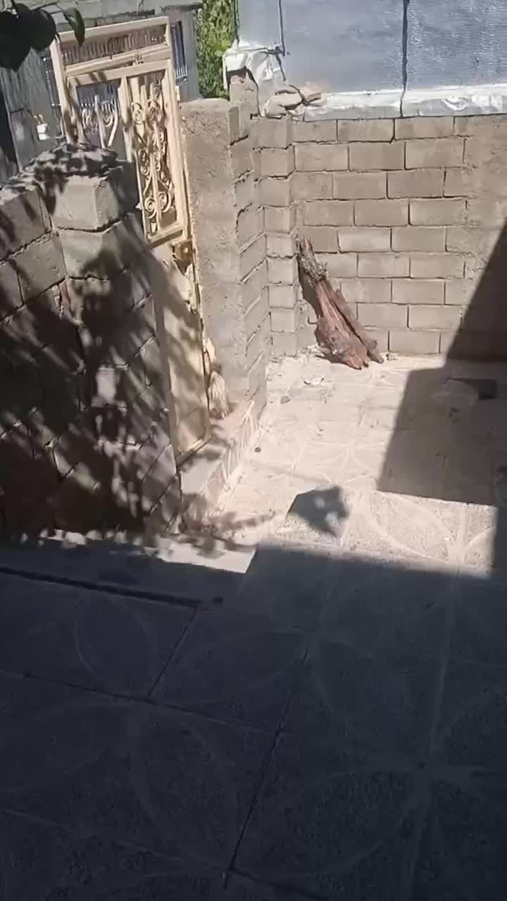 سرویس کامل اجاره دربست|اجارهٔ خانه و ویلا|بانه, |دیوار