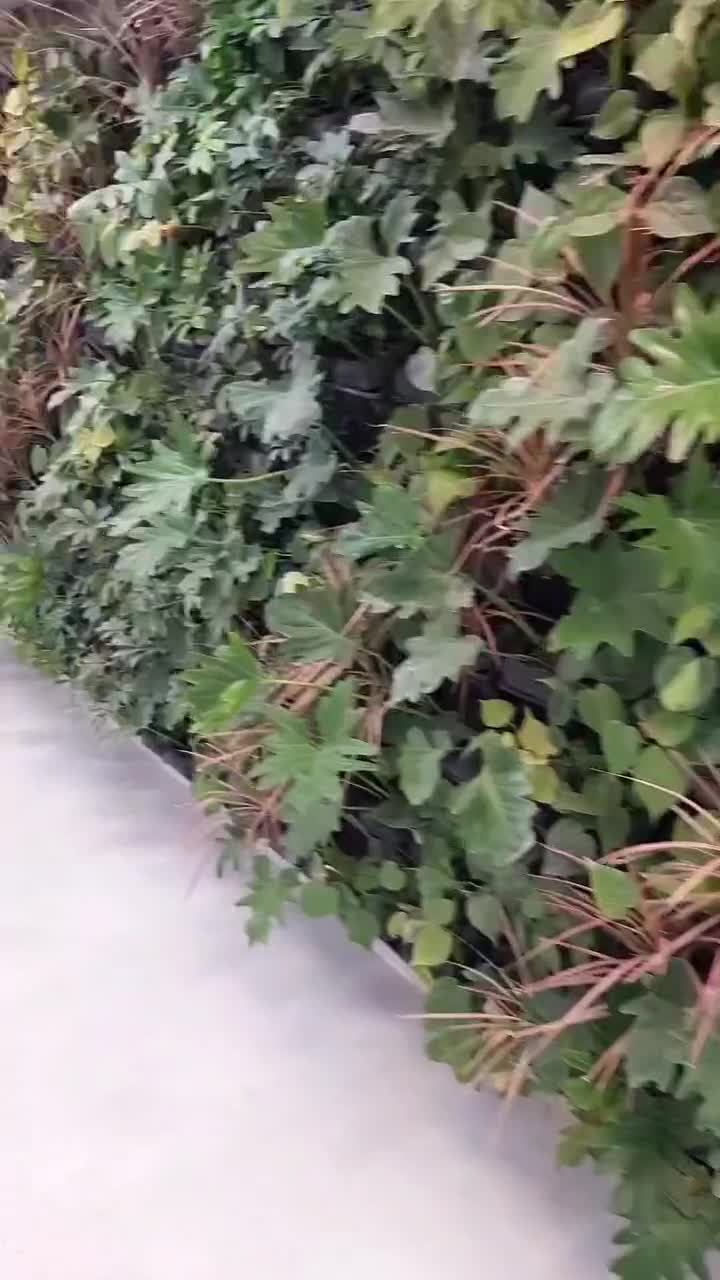 دستگاه بدنسازی باشگاهی/خانگی سیمکش بالاوپایین|تجهیزات ورزشی|رشت, دیانتی|دیوار