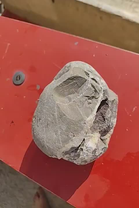 سنگ چخماق فسیلی کلکسیون با قدمت بالا|کلکسیون اشیاء عتیقه|تهران, توحید|دیوار