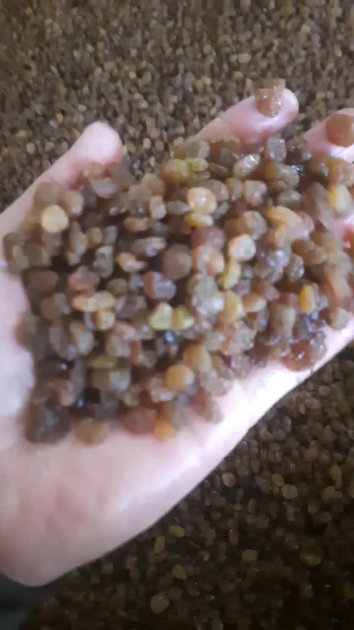 کشمش ملایر مرتضی|خوردنی و آشامیدنی|ملایر, |دیوار