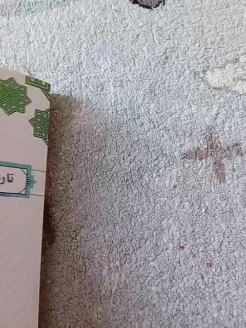 تاریخ فرهنگ و تمدن اسلامی|کتاب و مجله تاریخی|ری, شهید غیوری (ابن باویه)|دیوار